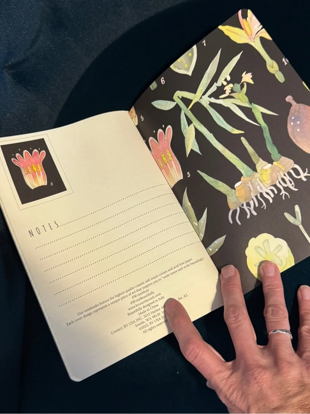 BV By Bruno Visconti Soft Touch Botany Journal A5